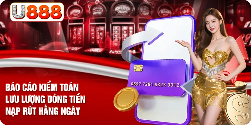 Báo cáo kiểm toán lưu lượng dòng tiền nạp rút hằng ngày