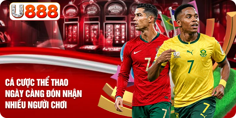 Cá cược thể thao ngày càng đón nhận nhiều người chơi