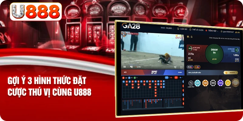 Gợi ý 3 hình thức đặt cược thú vị cùng U888