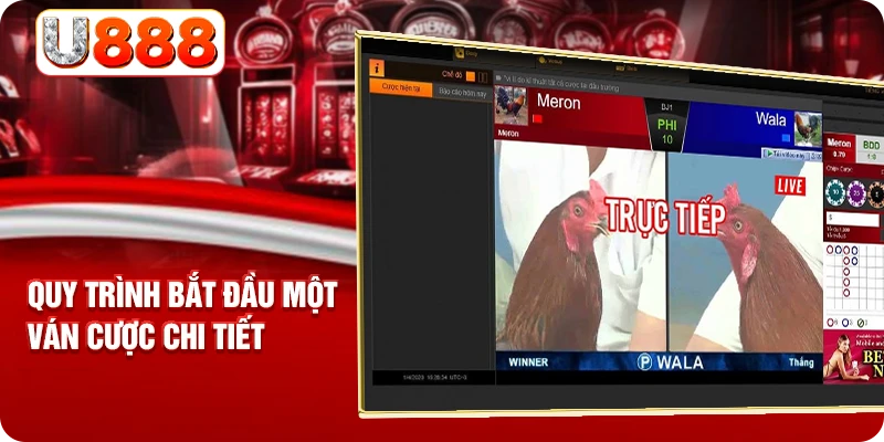 Quy trình bắt đầu một ván cược chi tiết